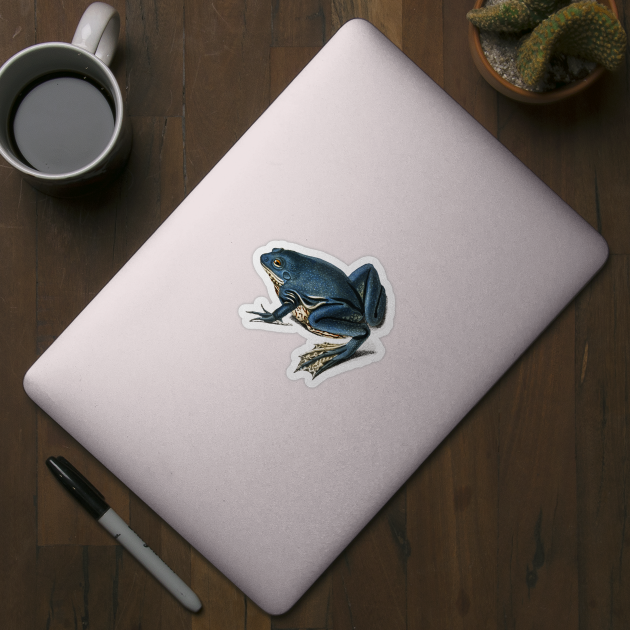 Blue Frog Hand drawn by Mako Design 